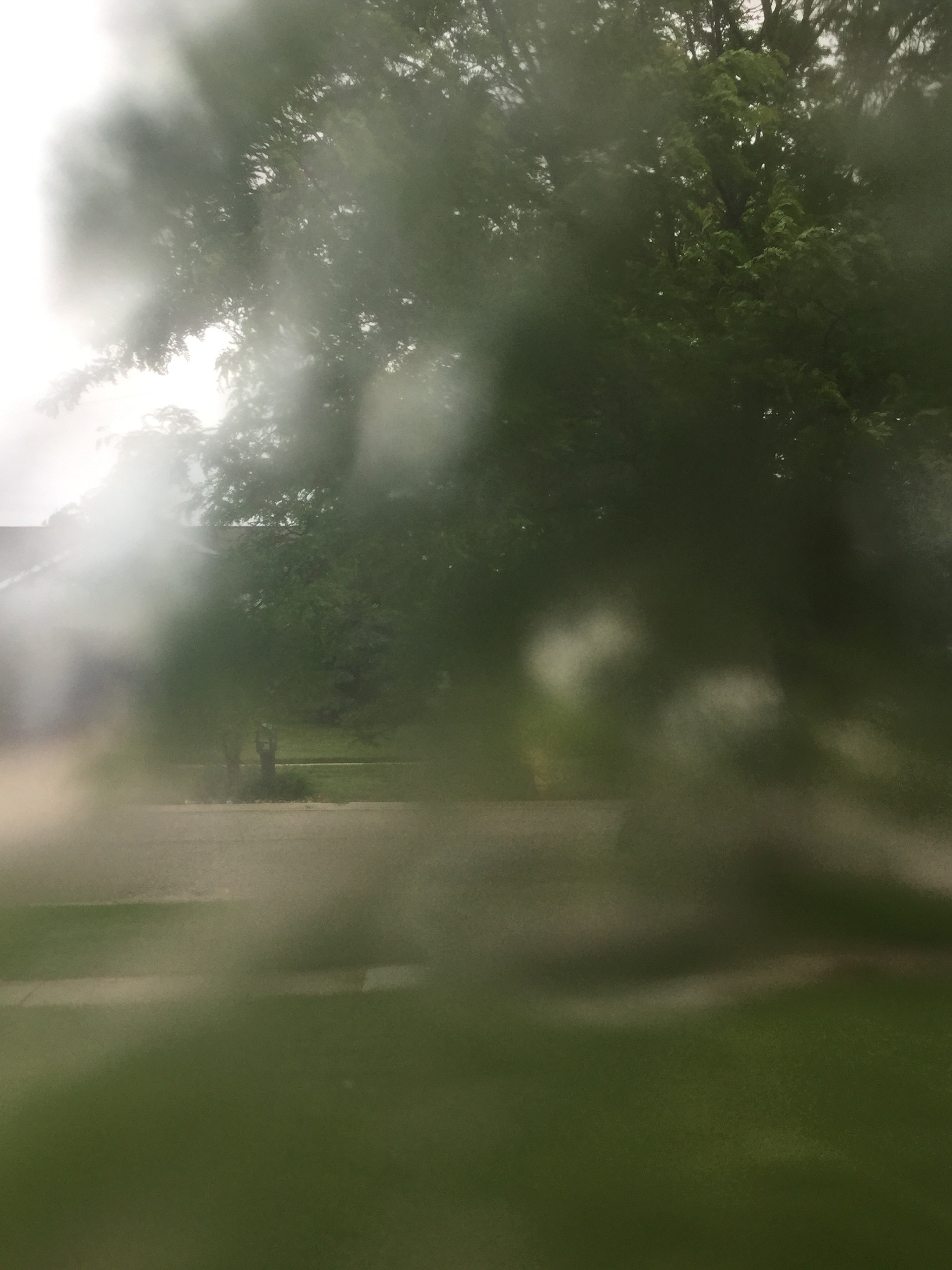 Apple iPod touch sample photo. Blur photography