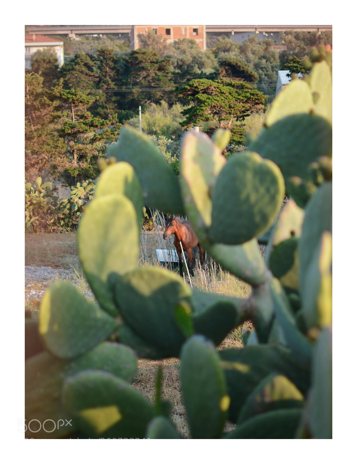 Nikon D7100 sample photo. Untitled photography