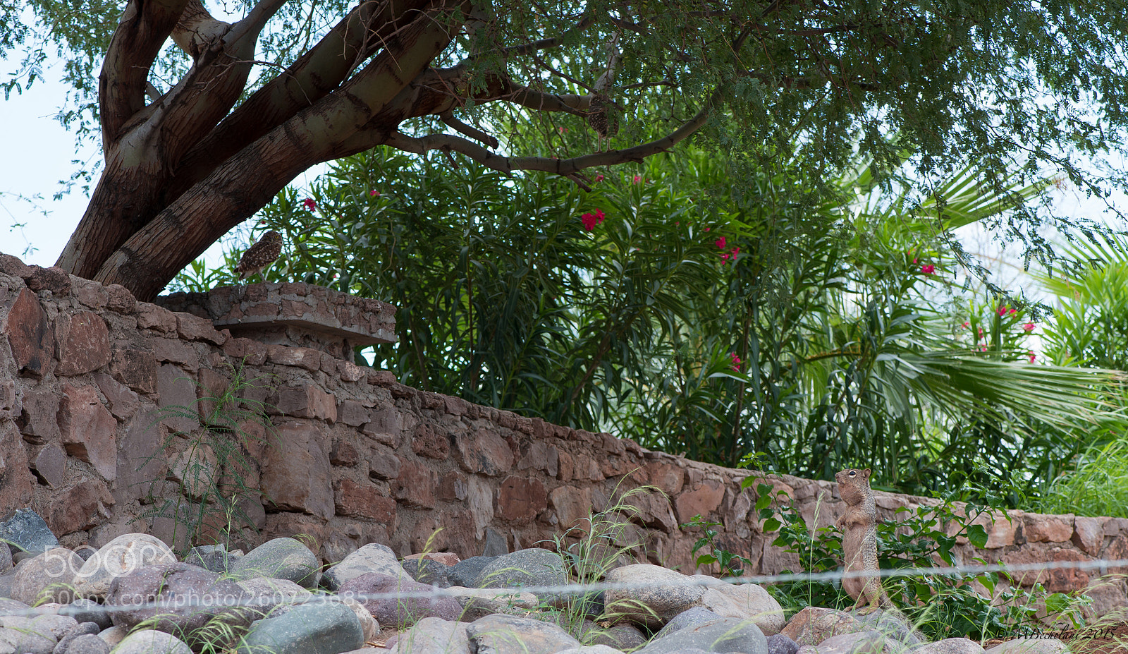 Nikon D800 sample photo. Dfo photography