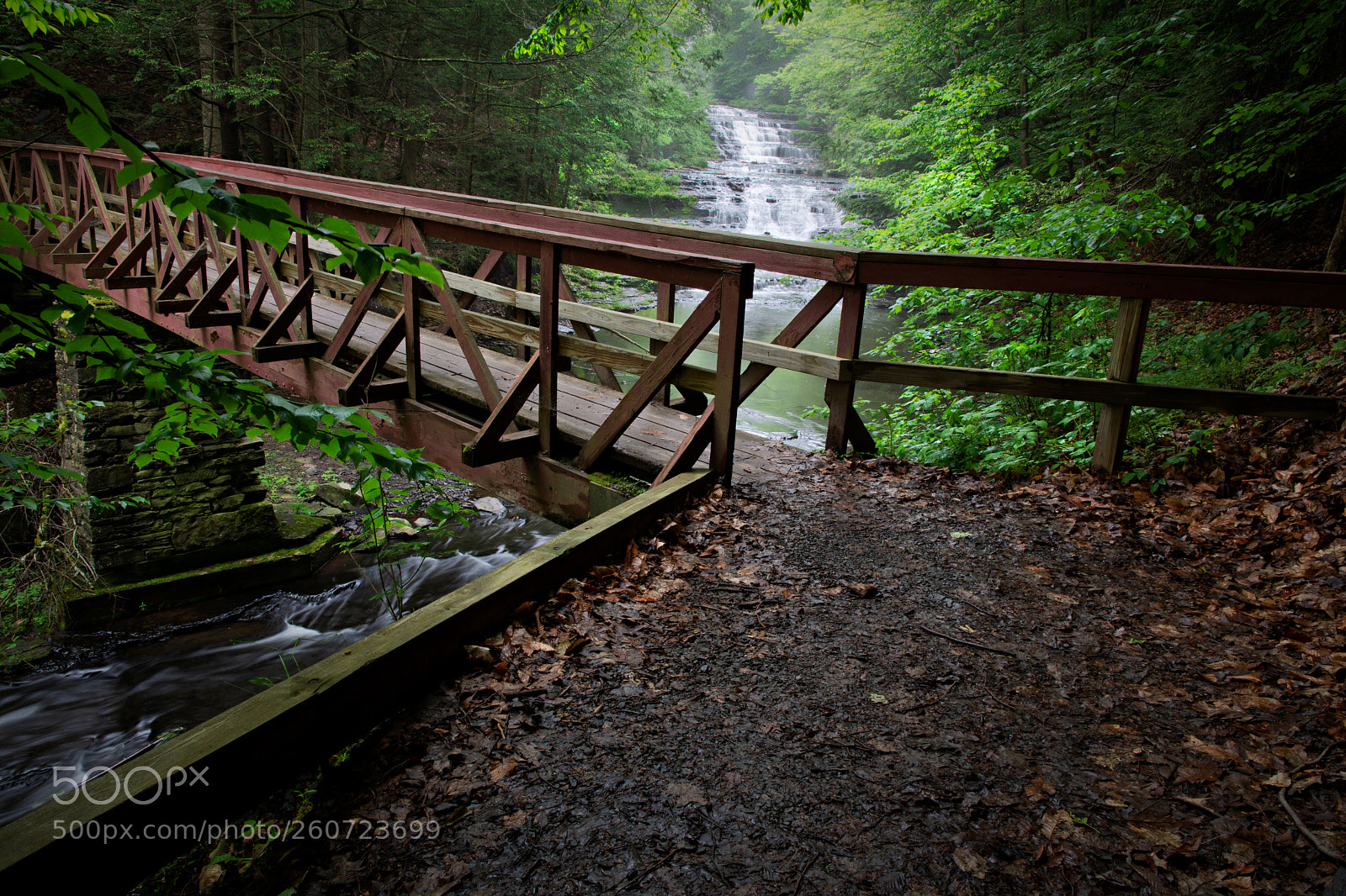 Nikon D7100 sample photo. Myosotis falls bridge photography