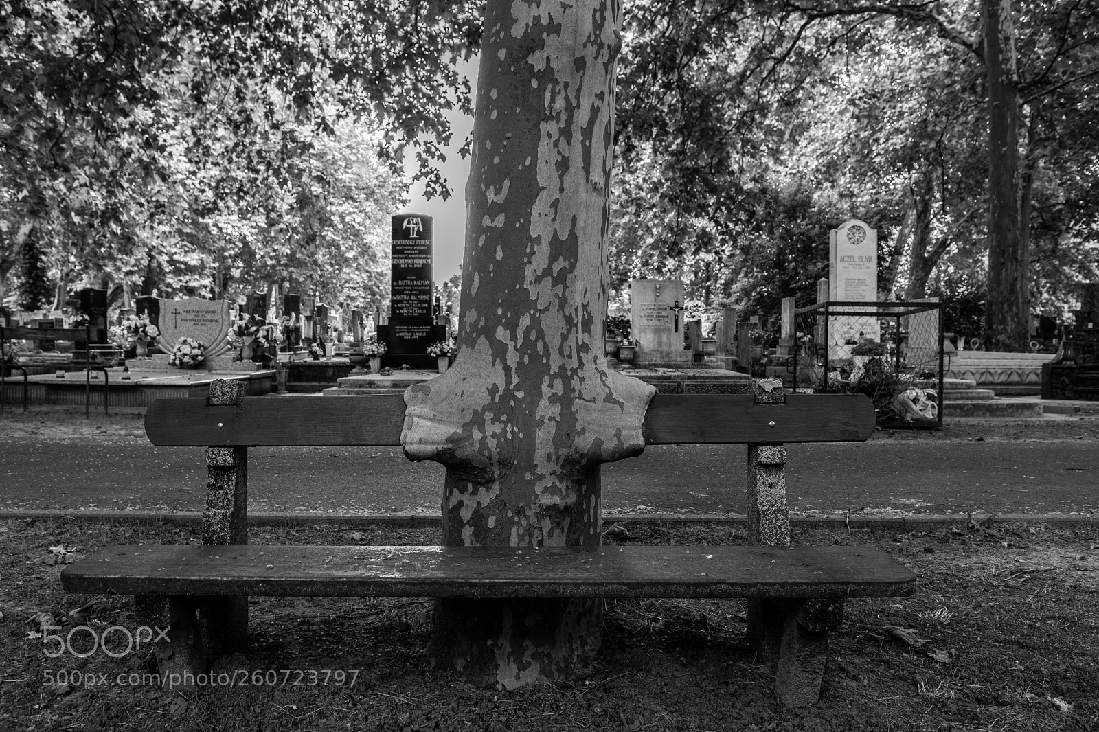 Nikon D7500 sample photo. Crosses photography