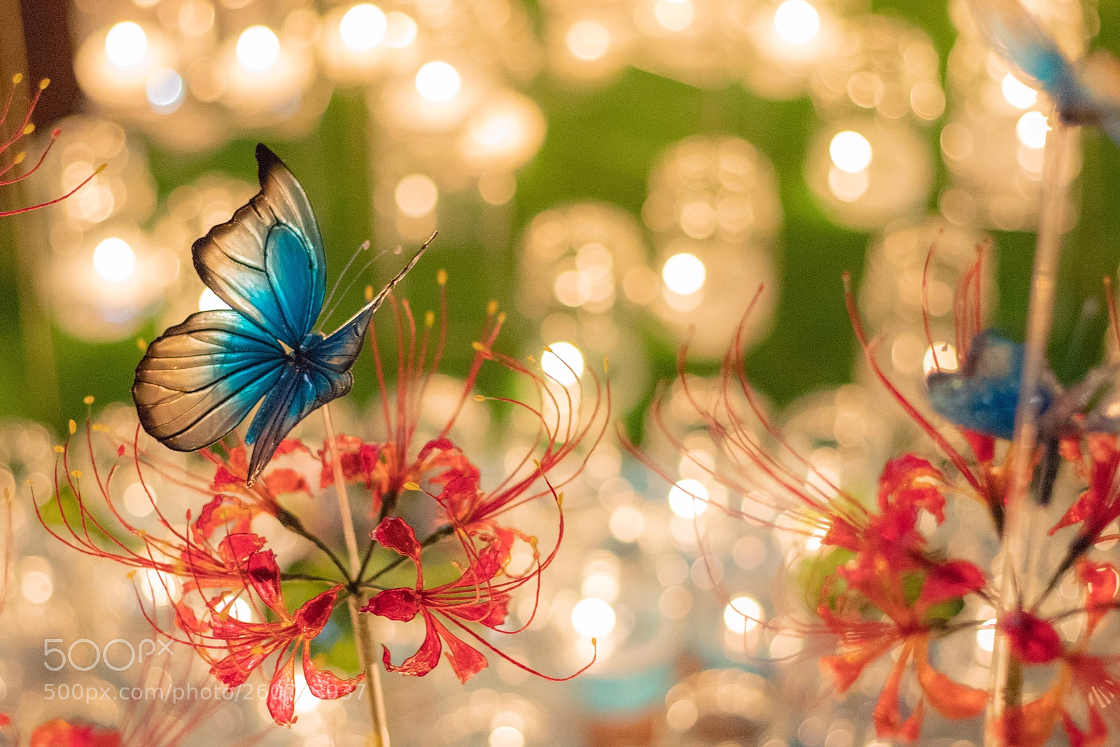 Canon EOS 6D Mark II sample photo. Candle night photography
