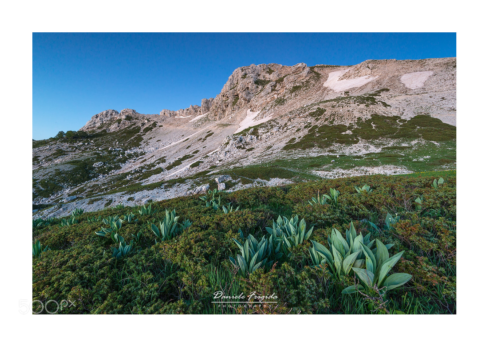 Nikon D610 sample photo. Blue hour photography