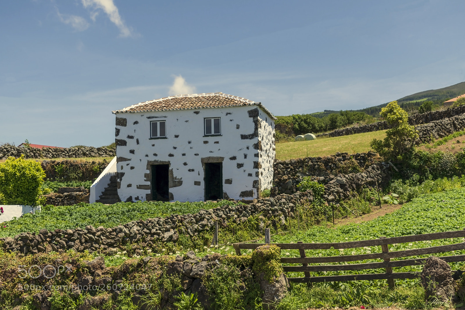Nikon D5600 sample photo. Farmhouse photography