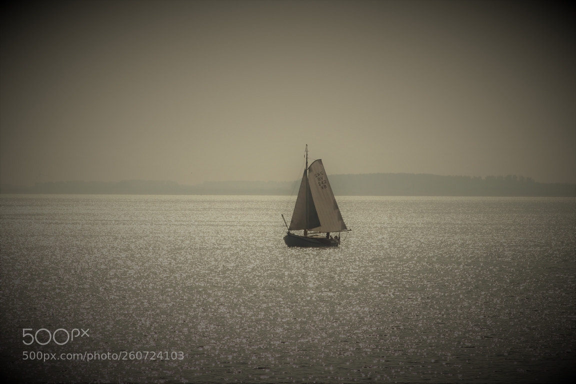 Canon EOS 600D (Rebel EOS T3i / EOS Kiss X5) sample photo. Sail away. photography