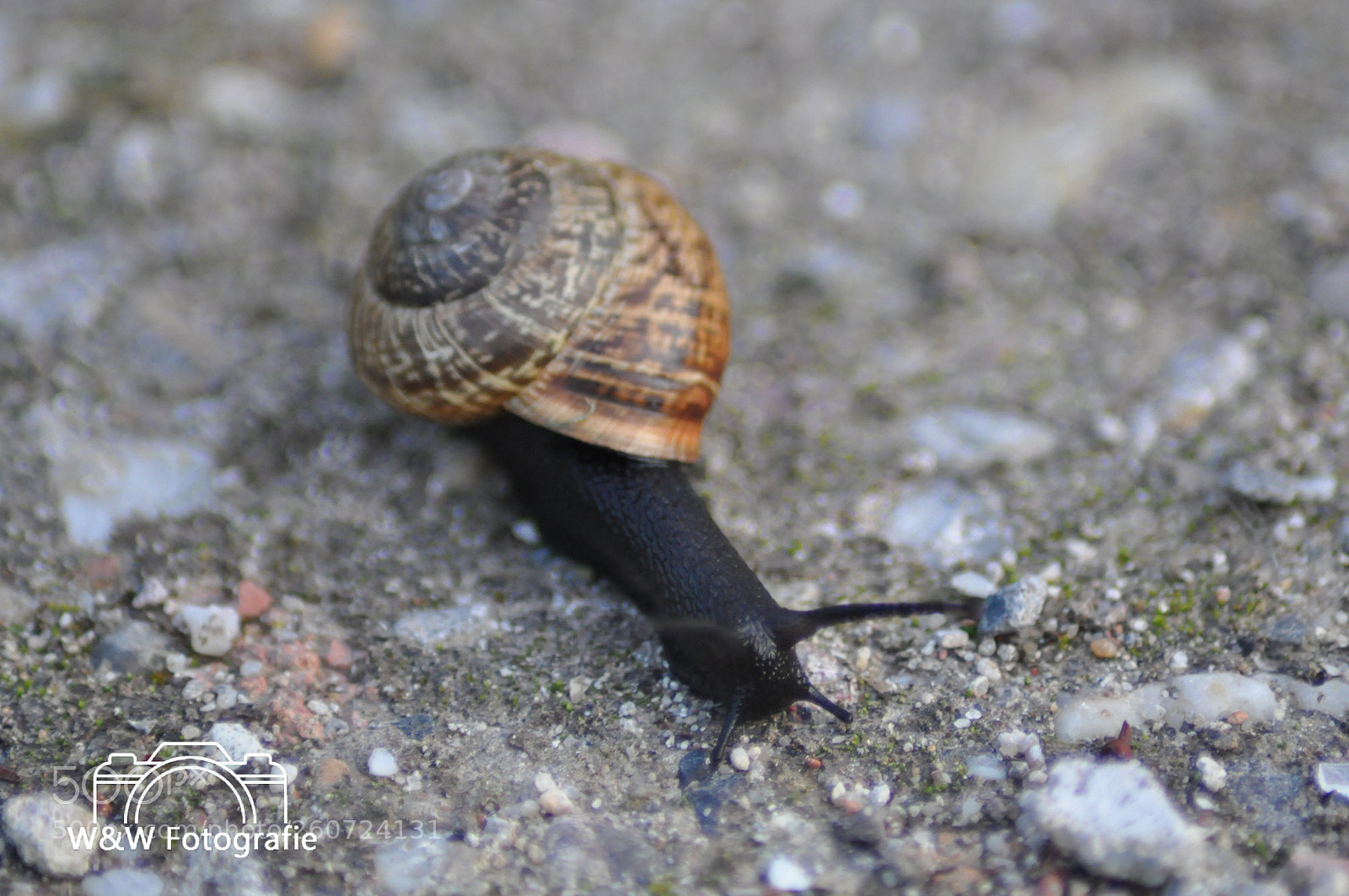 Nikon D90 sample photo. Untitled photography