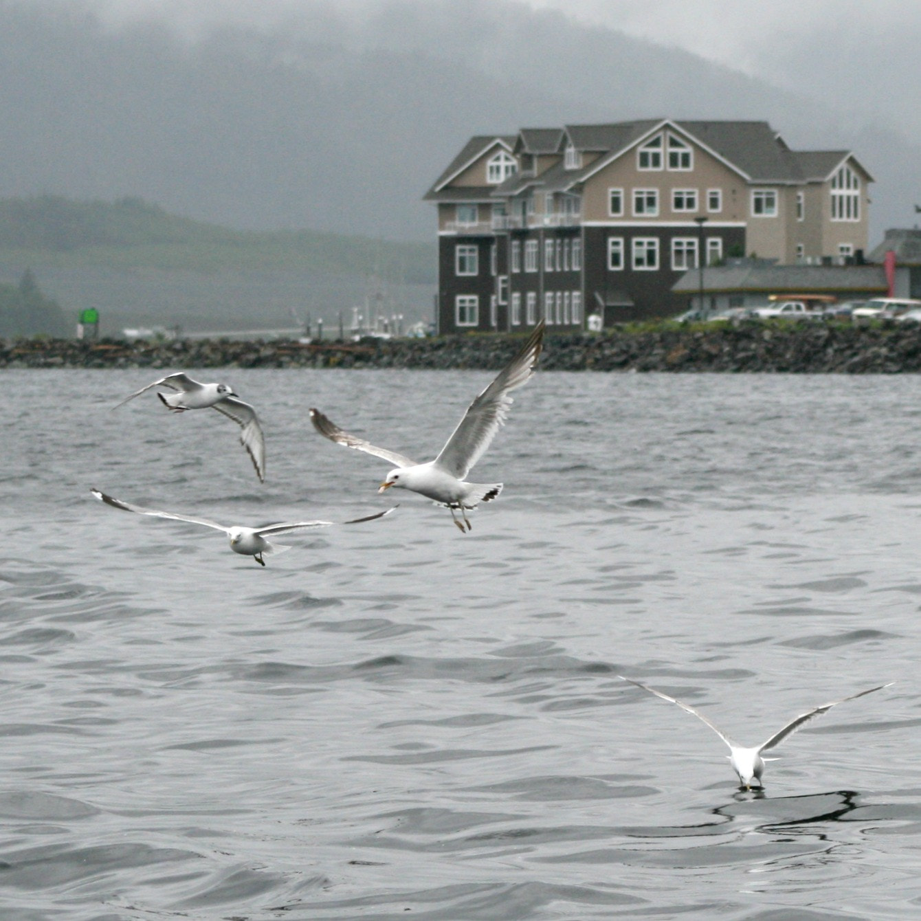 Canon EF 75-300mm f/4-5.6 sample photo. Moody alaska photography