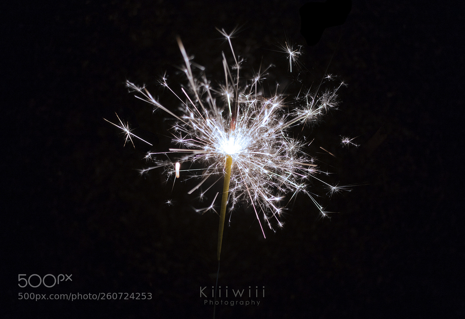Canon EOS 7D Mark II sample photo. 22 52 extra o photography