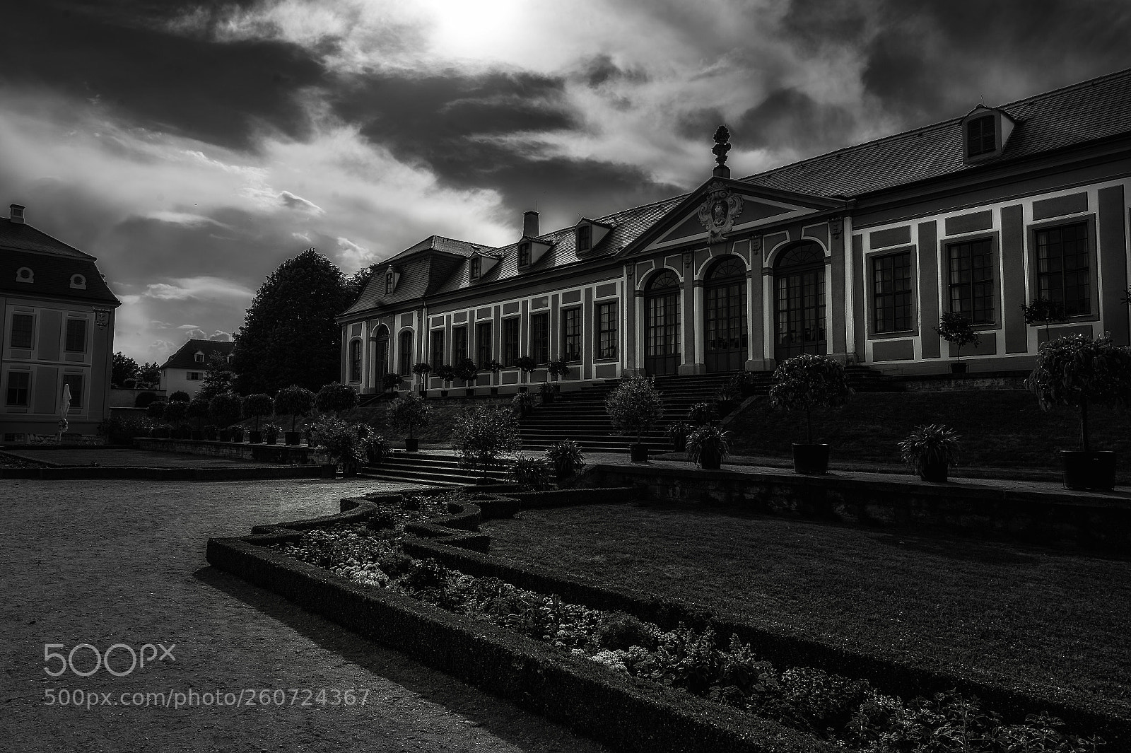 Nikon D4 sample photo. Barockgarten großsedlitz bw photography