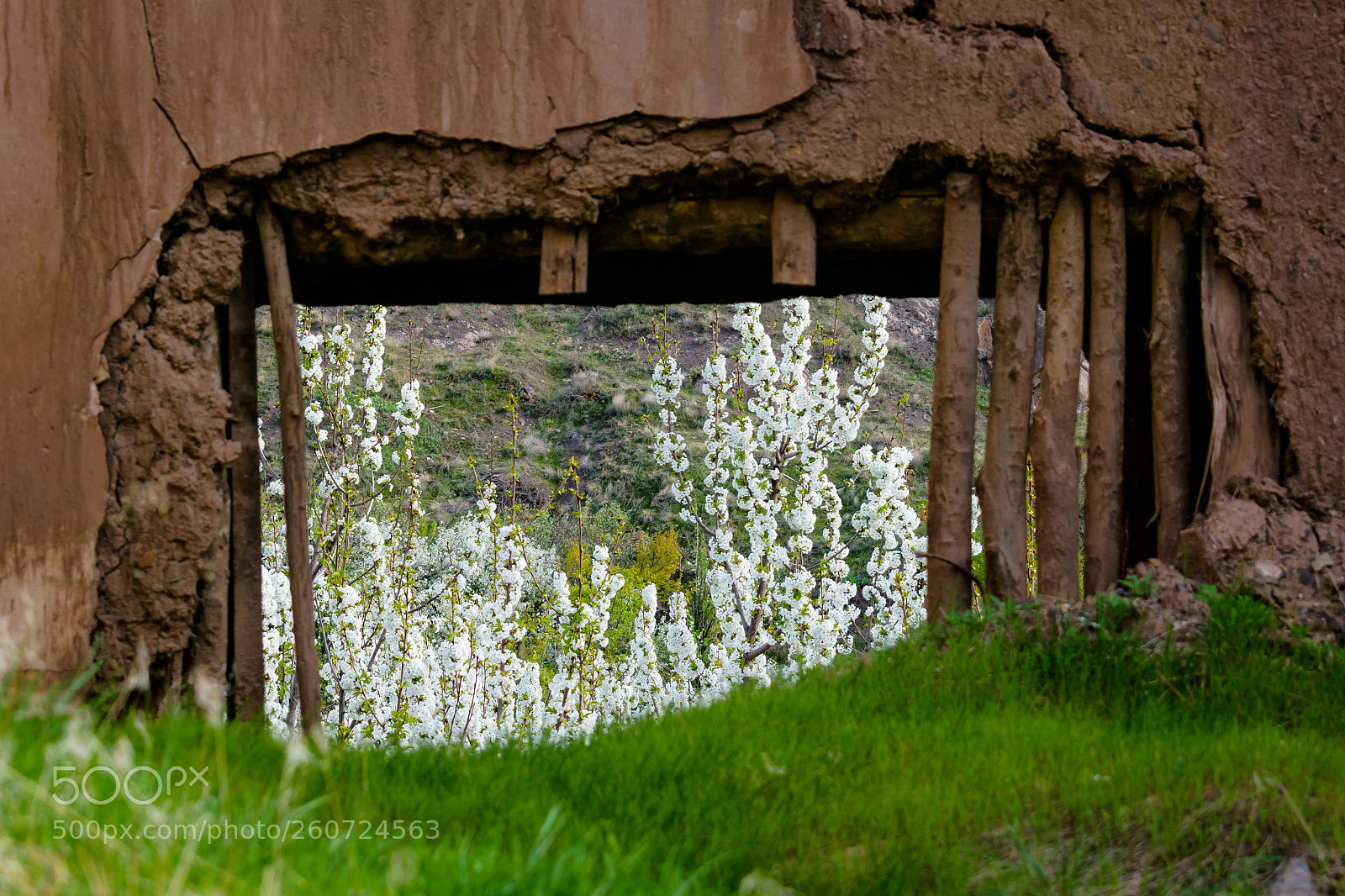 Nikon D3300 sample photo. A window to the photography
