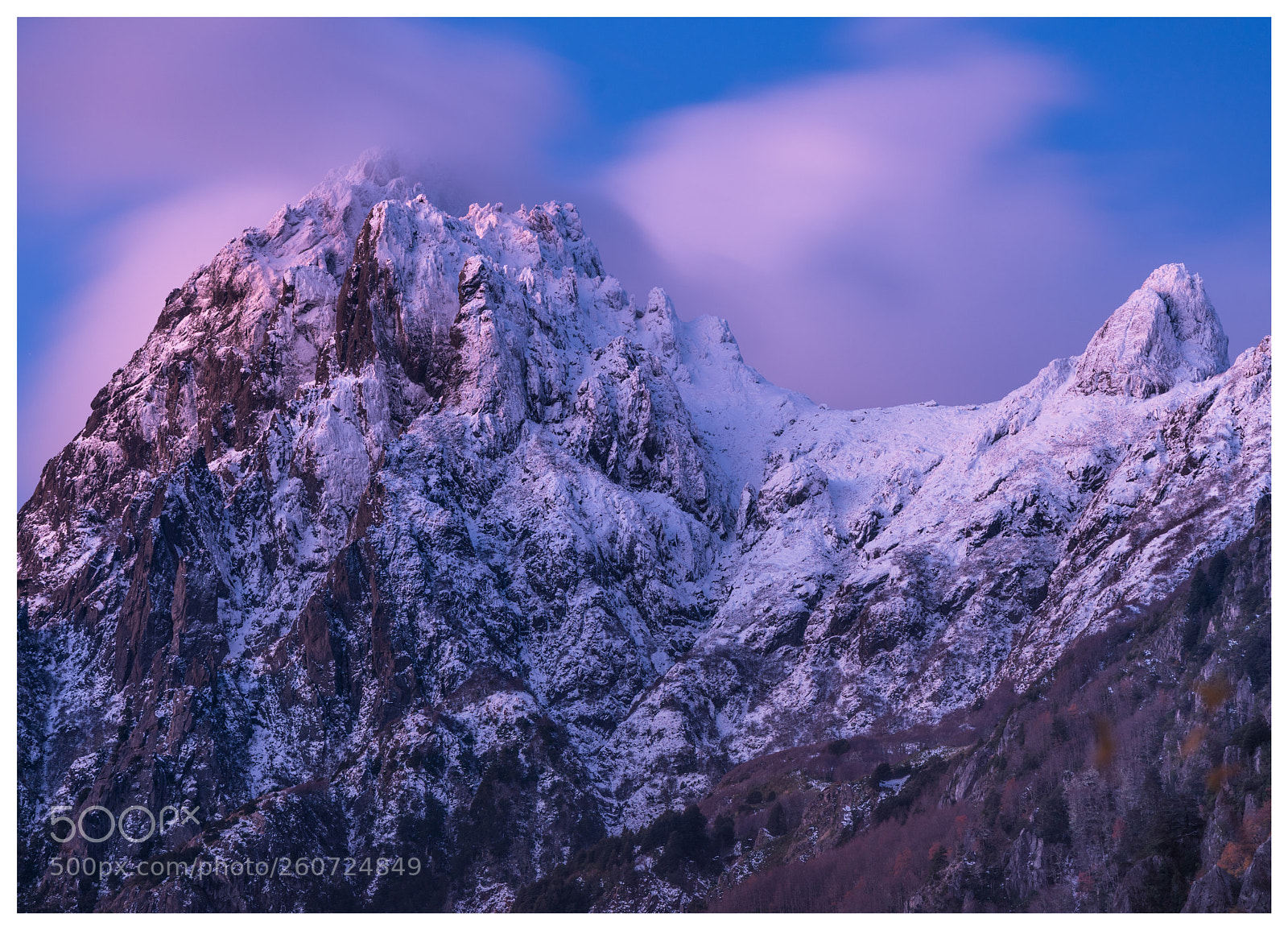 Nikon D750 sample photo. Peinetas de curarrehue photography