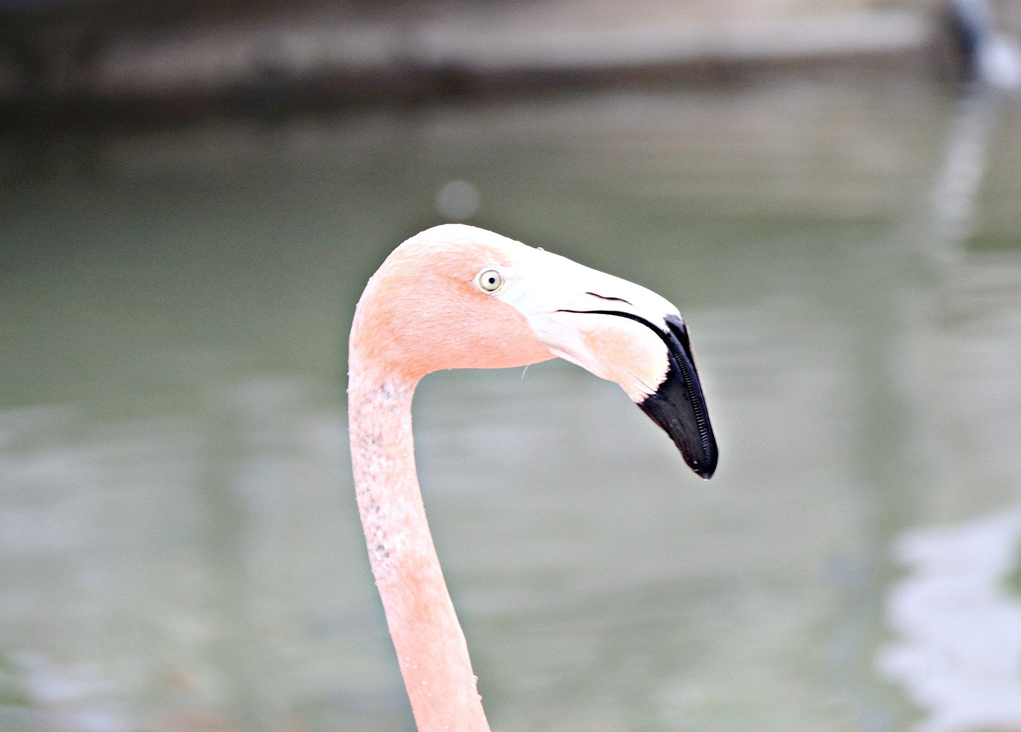 Canon EF-S 18-200mm F3.5-5.6 IS sample photo. Img photography