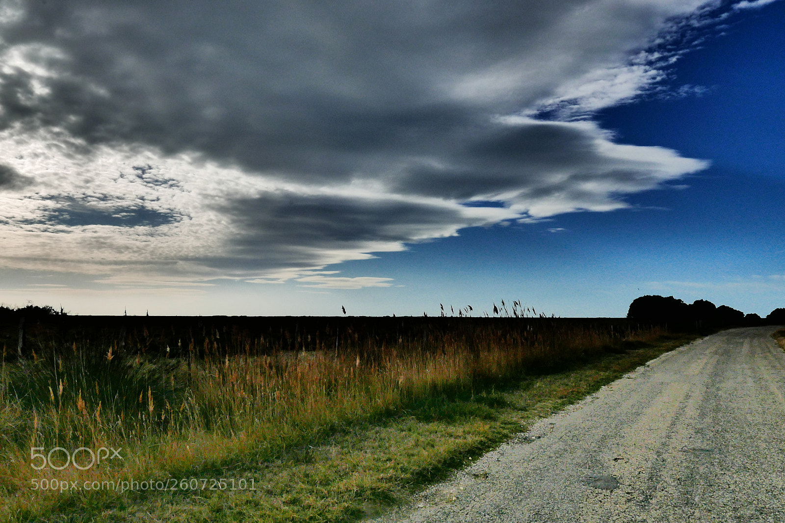 Panasonic Lumix DMC-LX100 sample photo. Camargue photography