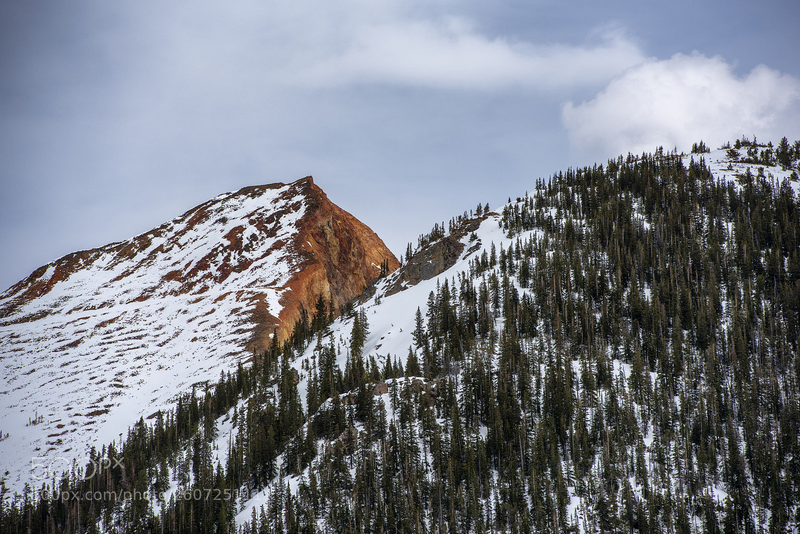Nikon D750 sample photo. Last snow photography
