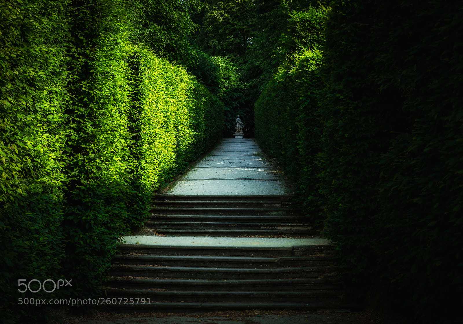 Nikon D4 sample photo. Green alley photography