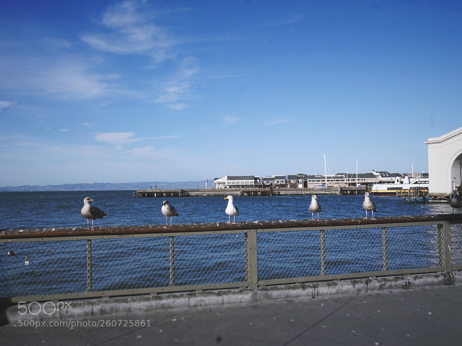 Sony a7 sample photo. Ocean's 5 photography