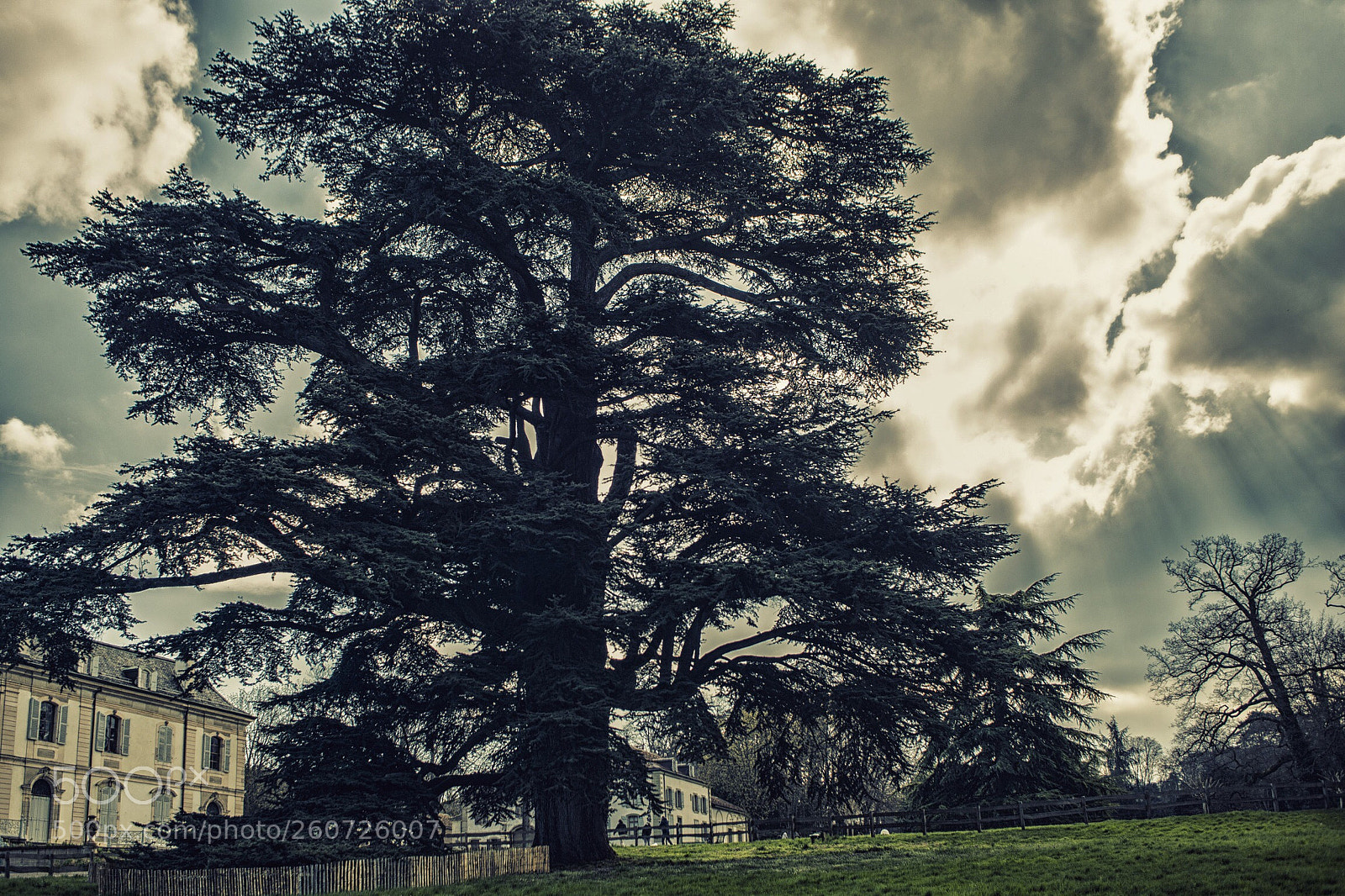 Nikon Df sample photo. Autunno photography
