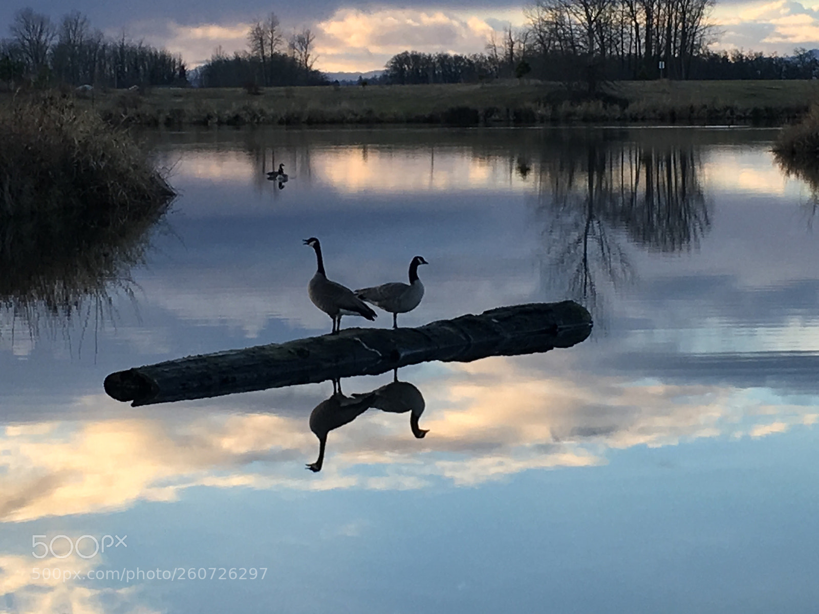 Apple iPhone 6s sample photo. Reflection photography