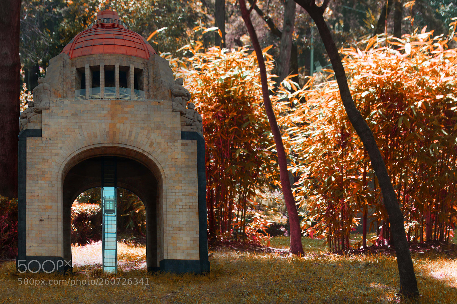 Nikon D5200 sample photo. Orange photography