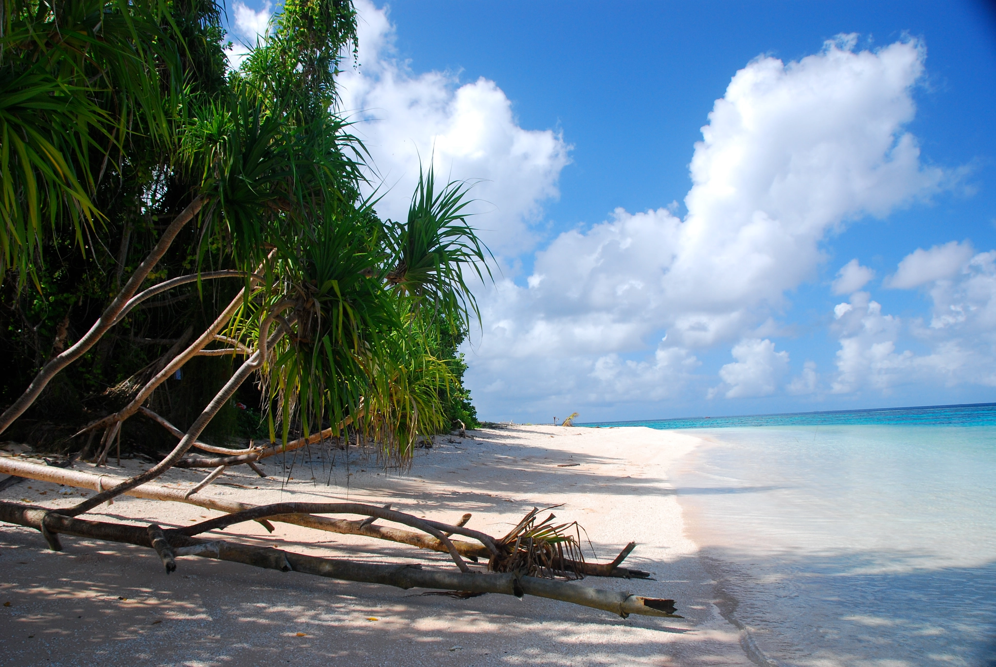 Nikon D80 sample photo. Offshore island.  funafuti, tuvalu. photography