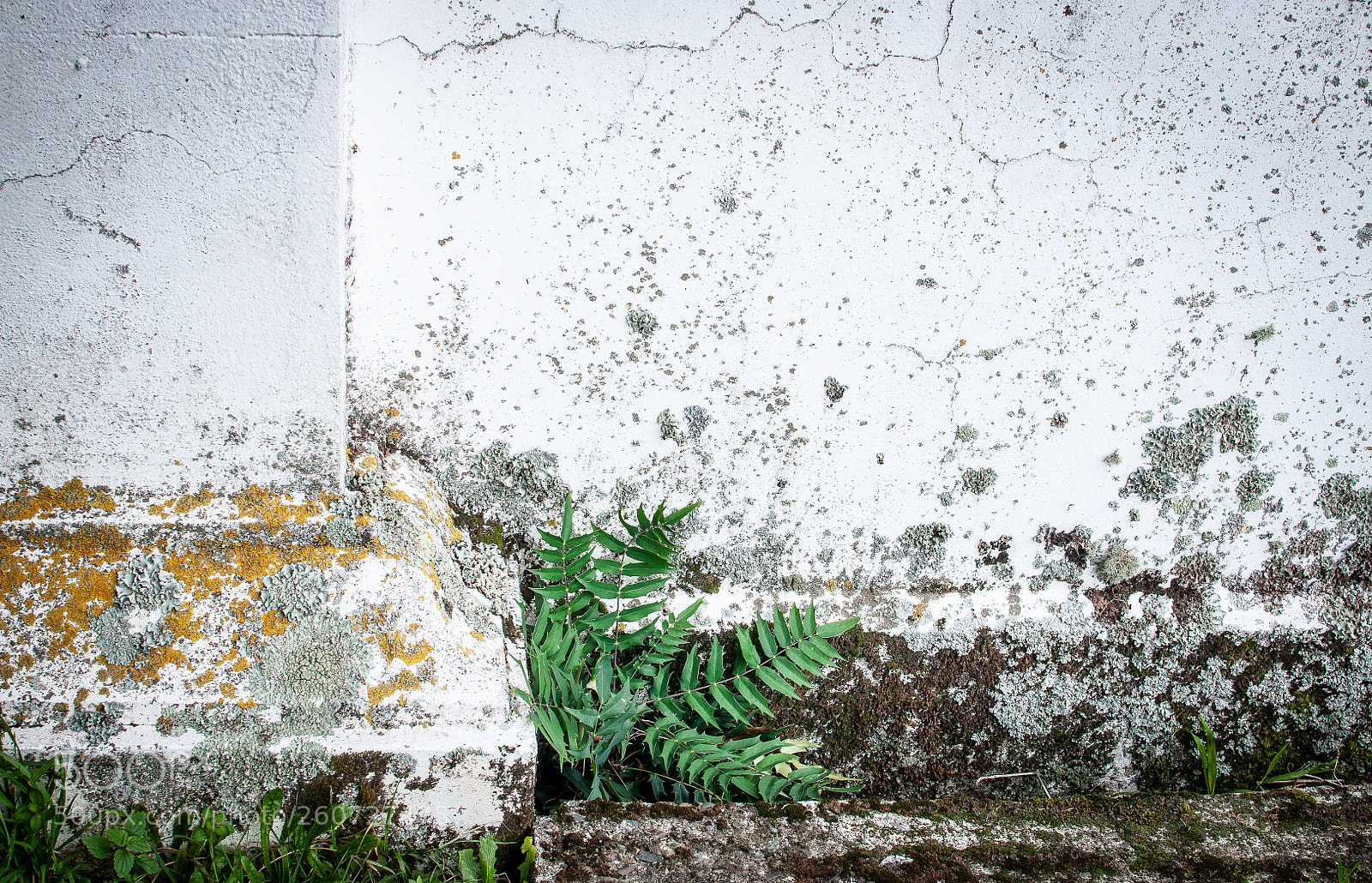 Nikon D300 sample photo. Aesthetics of decay iv photography