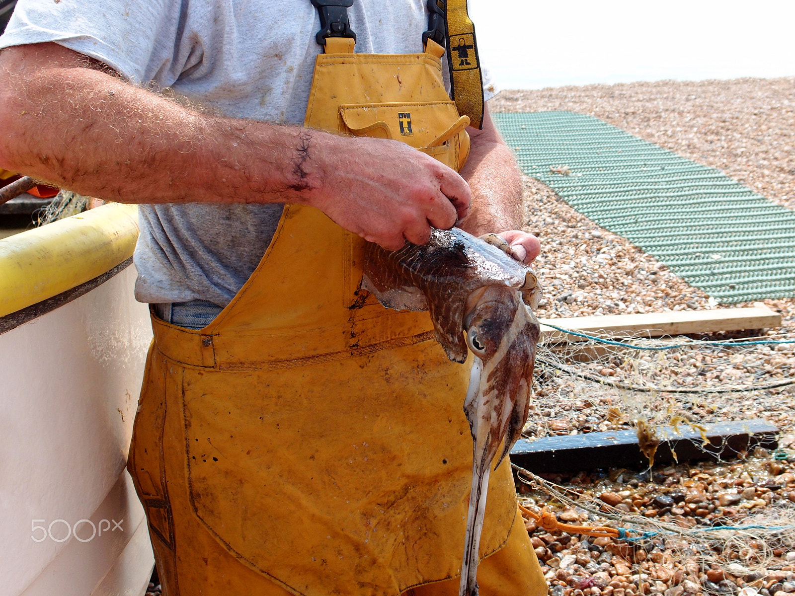 Olympus XZ-1 sample photo. Fisherman prepares cuttlefish photography