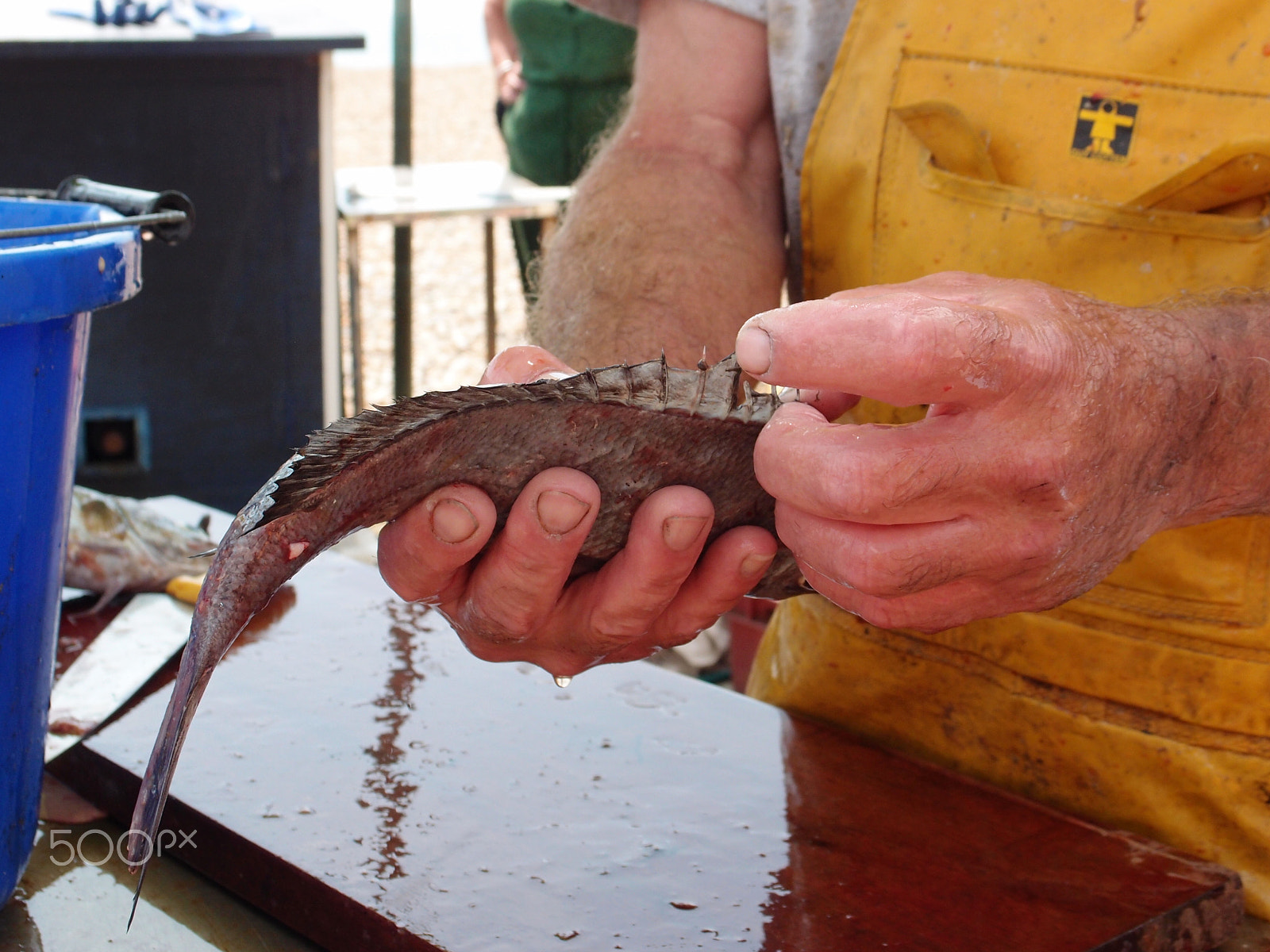 Olympus XZ-1 sample photo. Fisherman preparing bream photography
