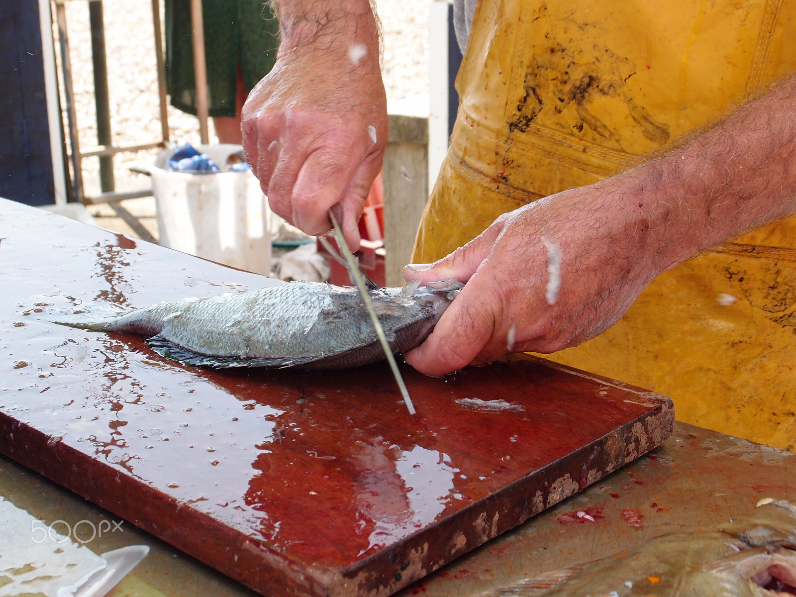 Olympus XZ-1 sample photo. Fisherman prepares fish for sale photography