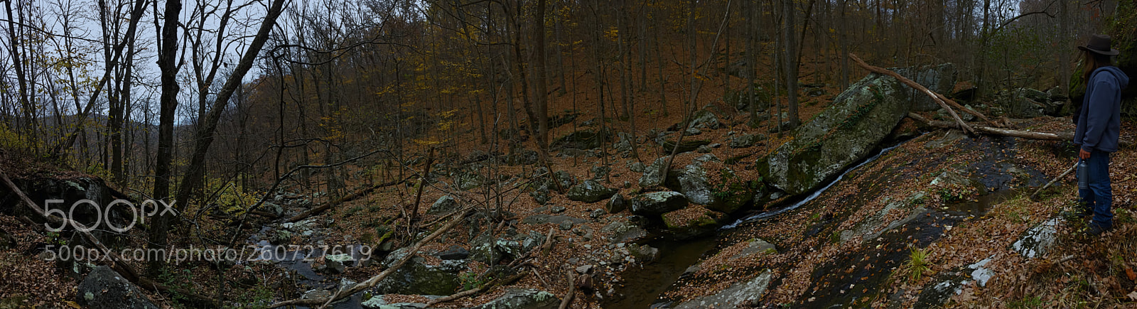 Apple iPhone SE sample photo. Jones run falls photography