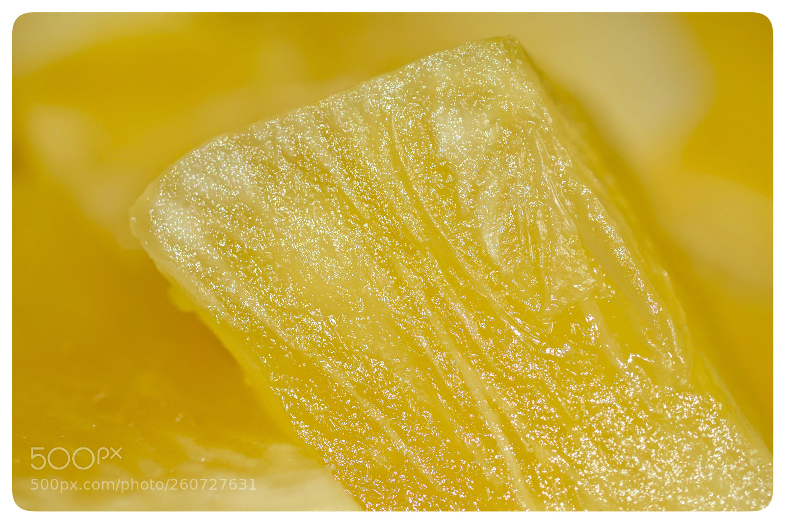 Nikon D7200 sample photo. Yellow photography