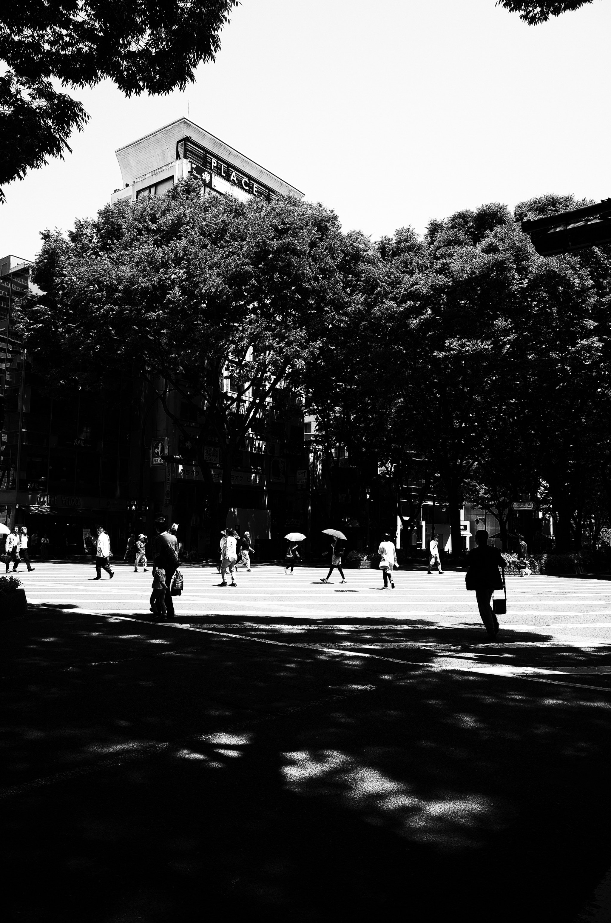 Ricoh GR II sample photo