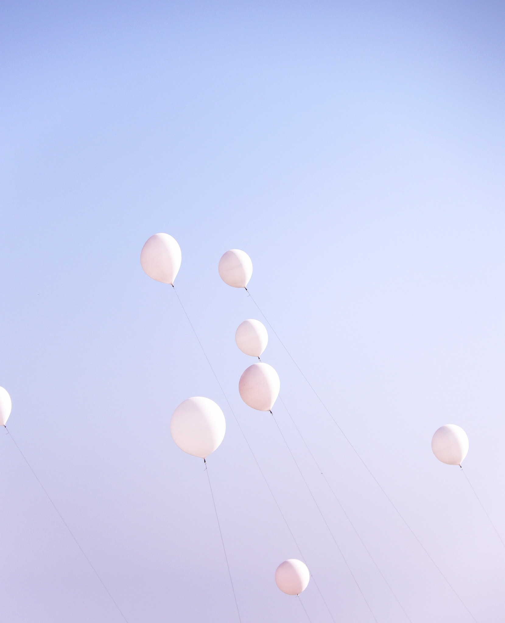 Canon EF-S 18-200mm F3.5-5.6 IS sample photo. Balloons photography