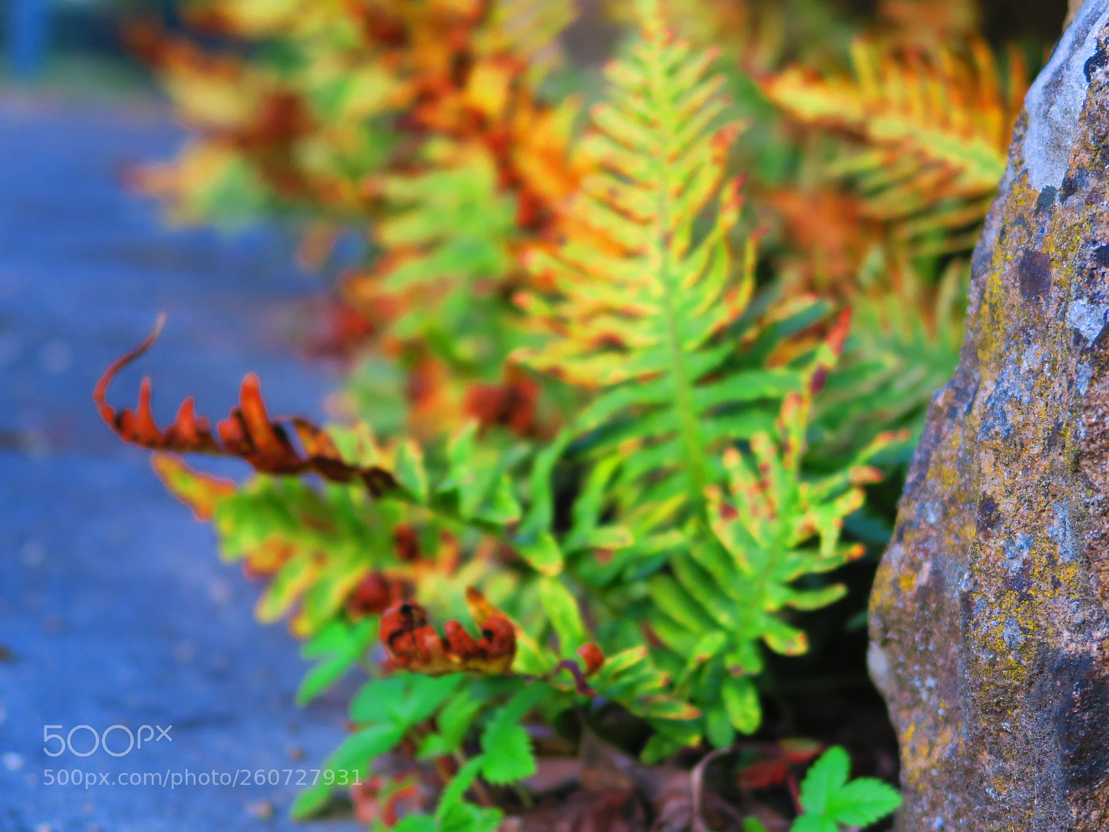 Canon PowerShot G7 X sample photo. Img photography