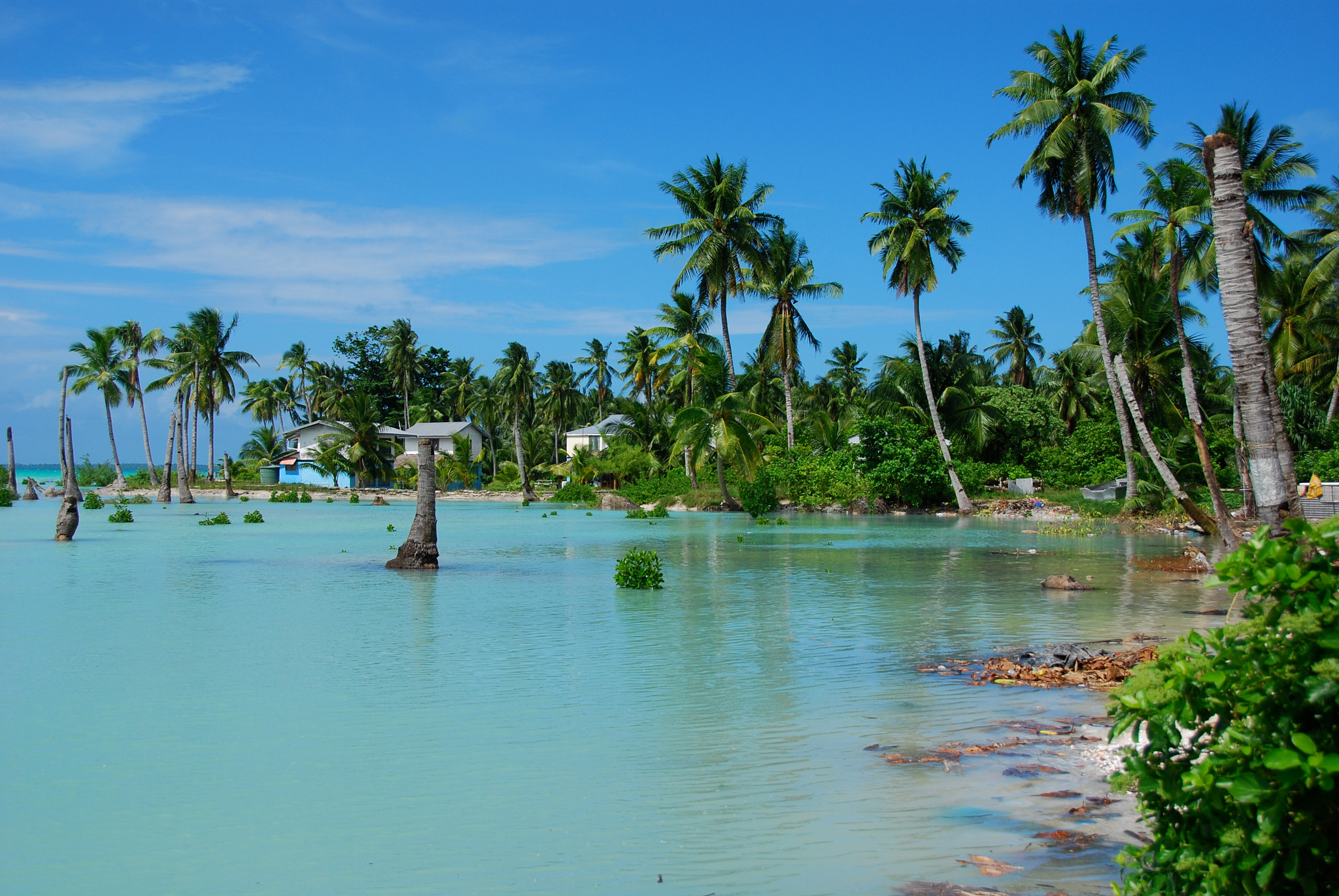 Nikon D80 sample photo. Tarawa kiribati photography
