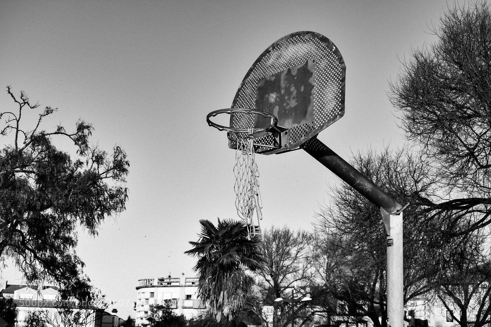 Nikon D3400 sample photo. Ripped photography