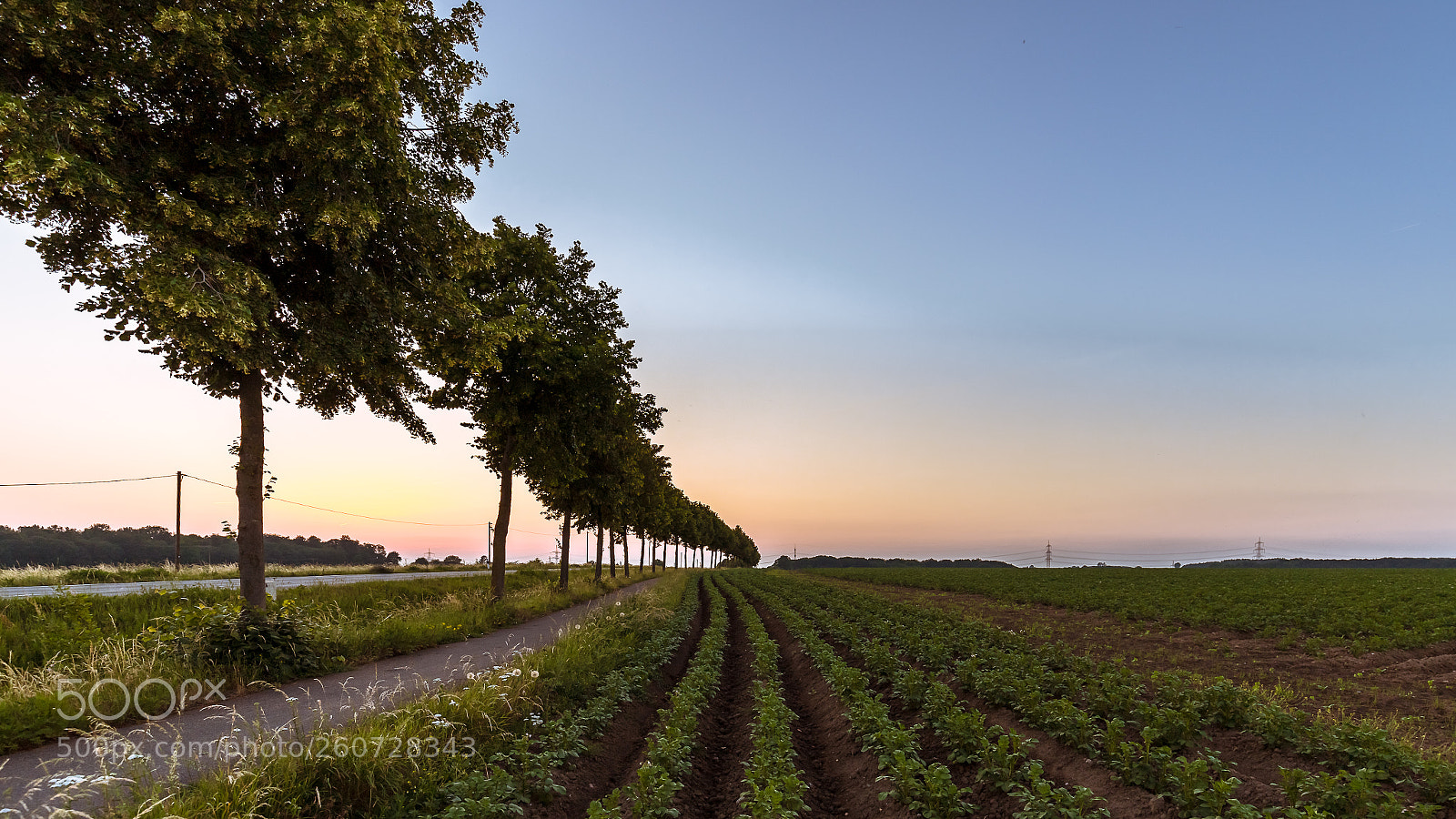 Canon EOS 6D Mark II sample photo. Sonnenuntergang auf dem feld photography