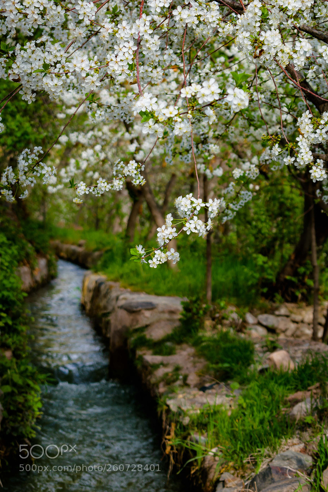 Nikon D3300 sample photo. Lovely waterway under the photography