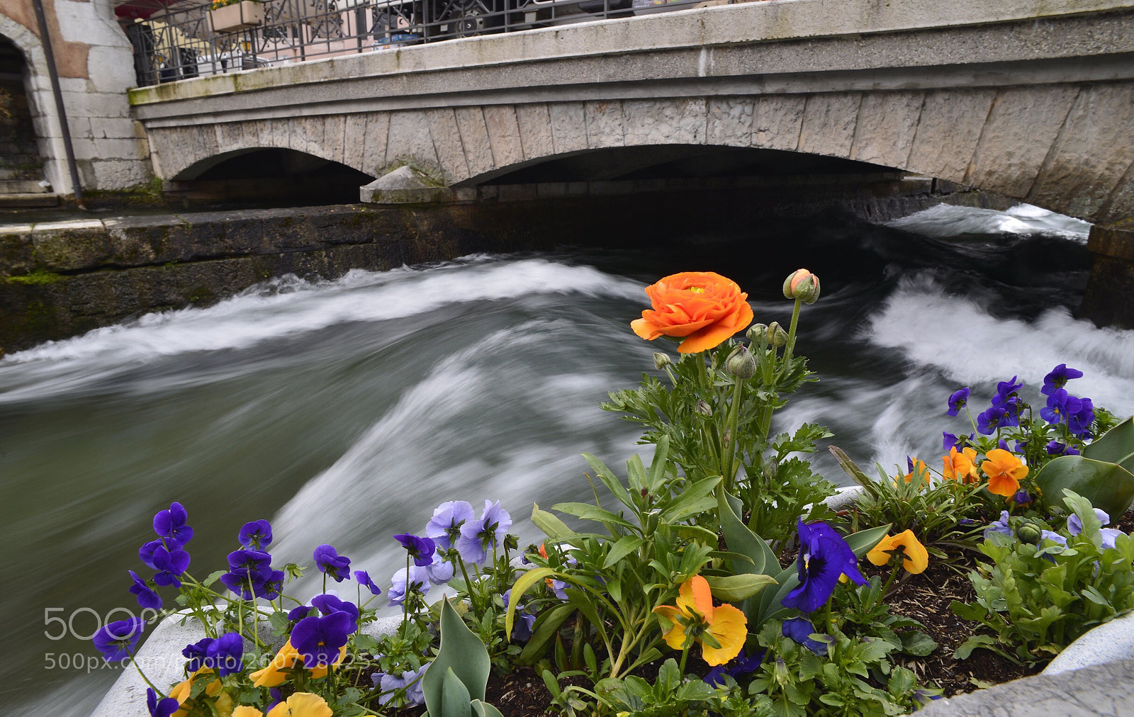 Nikon Df sample photo. Il fiume photography