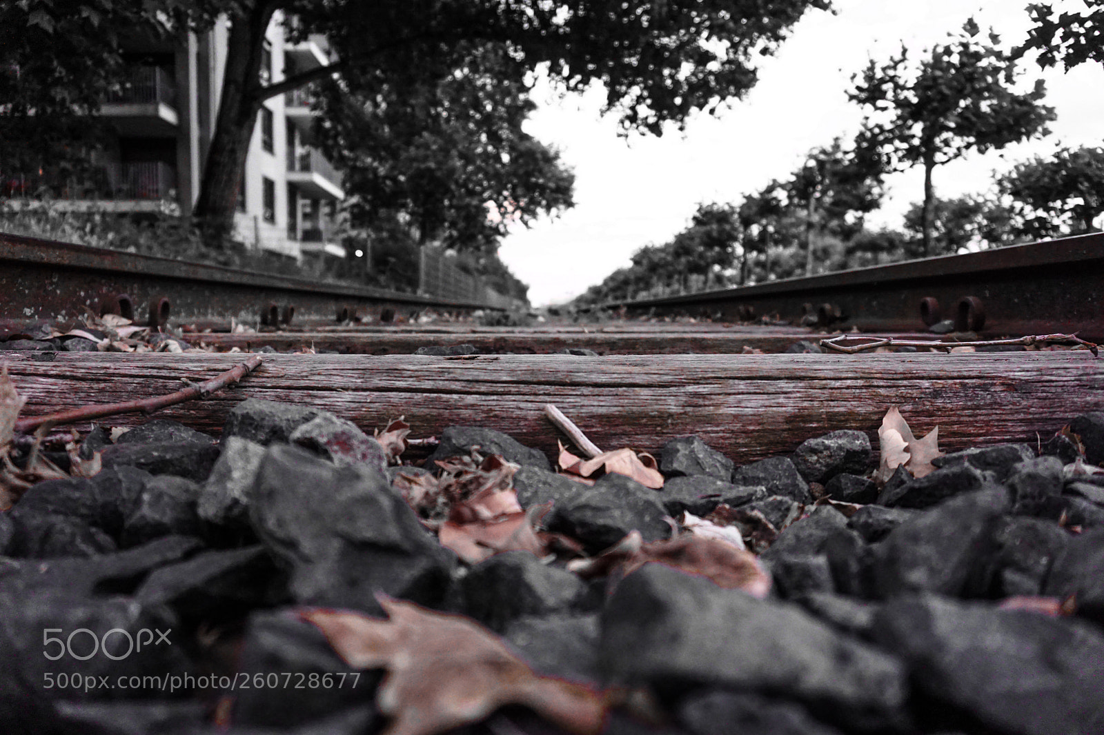 Sony a6000 sample photo. Untitled photography