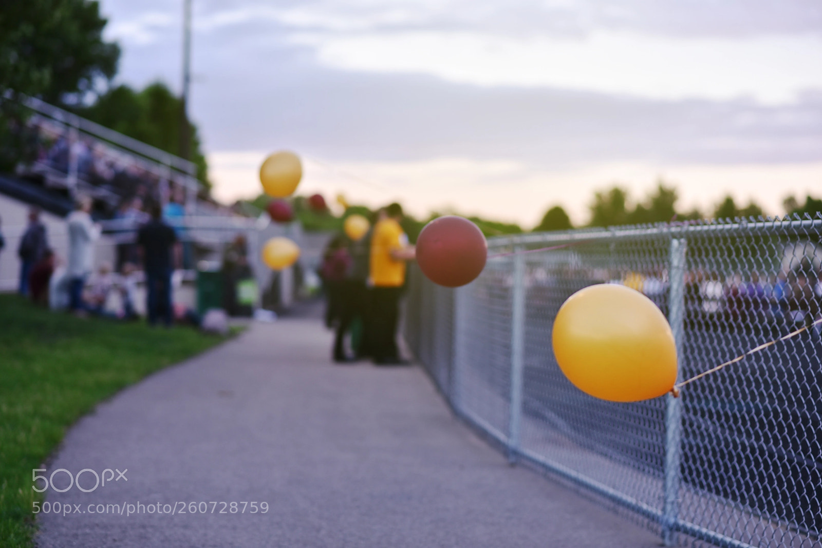 Nikon D750 sample photo. Social celebration photography
