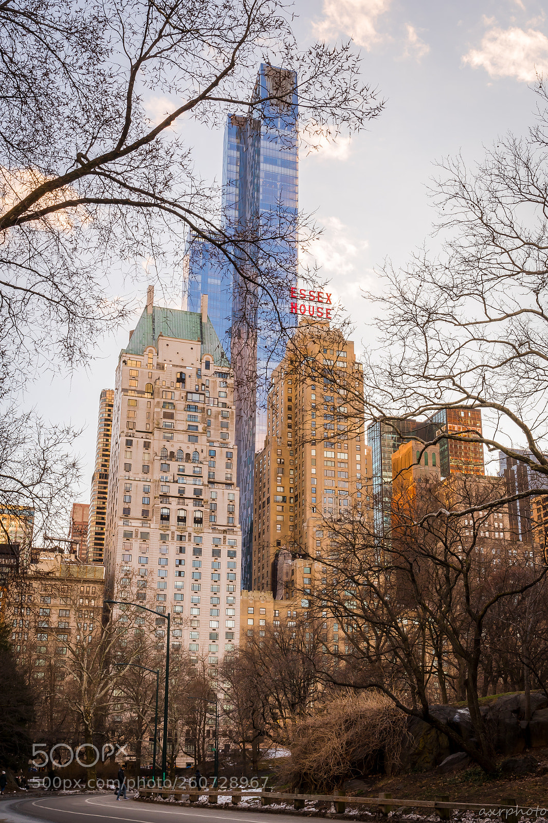 Nikon D500 sample photo. Central park photography