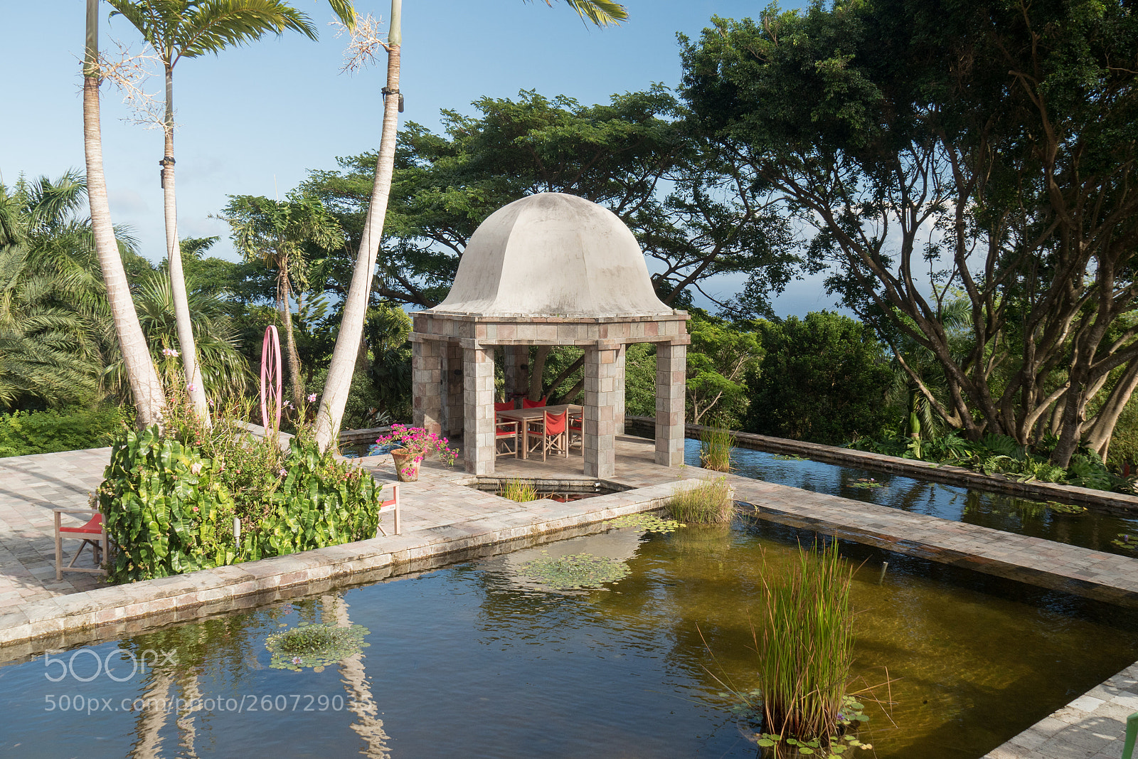 Olympus OM-D E-M5 II sample photo. Nevis plantation photography