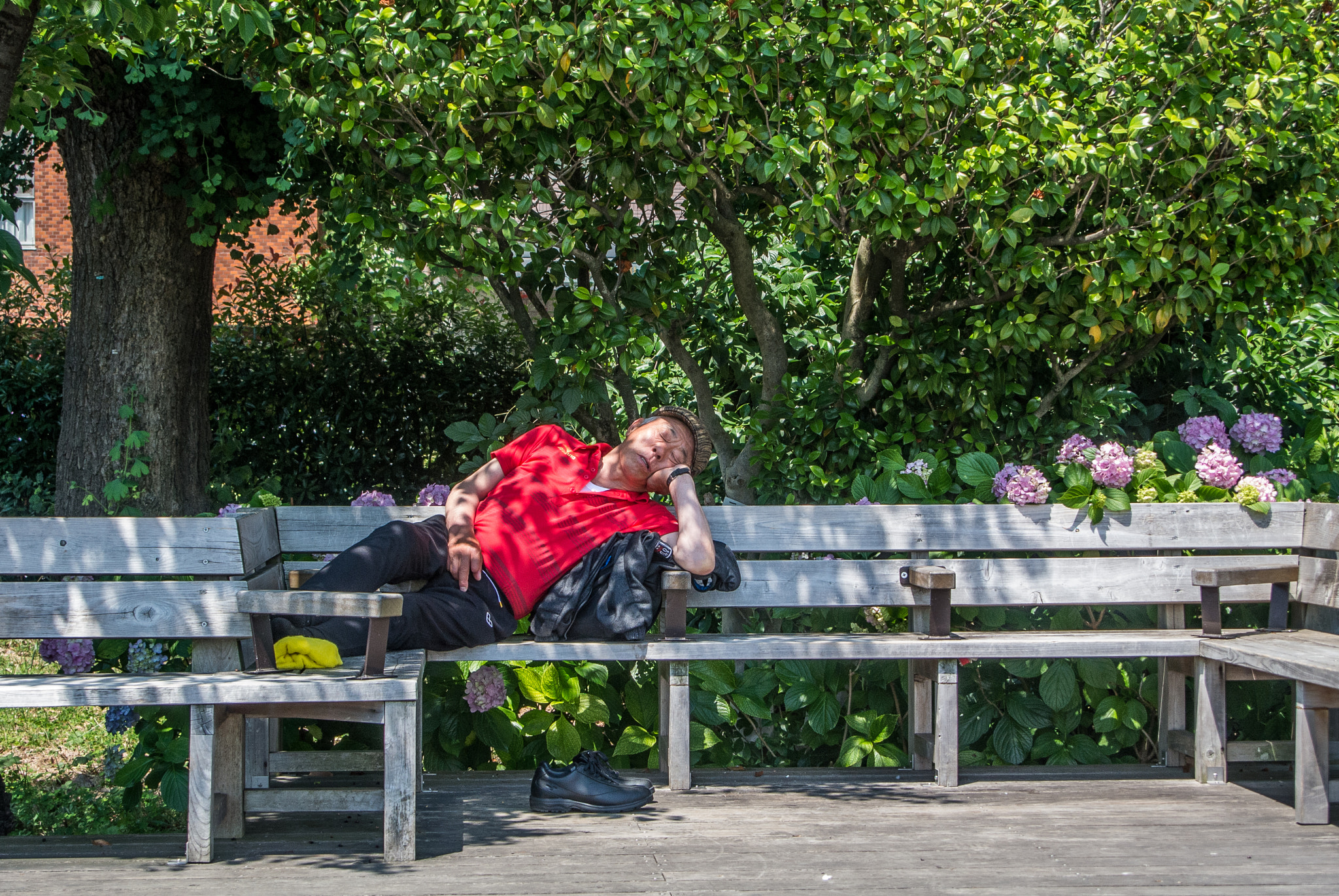 Nikon 1 V1 sample photo. Afternoon nap photography