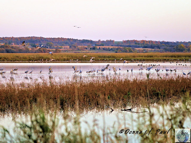 Canon EOS 6D sample photo. Paulbirdspool photography