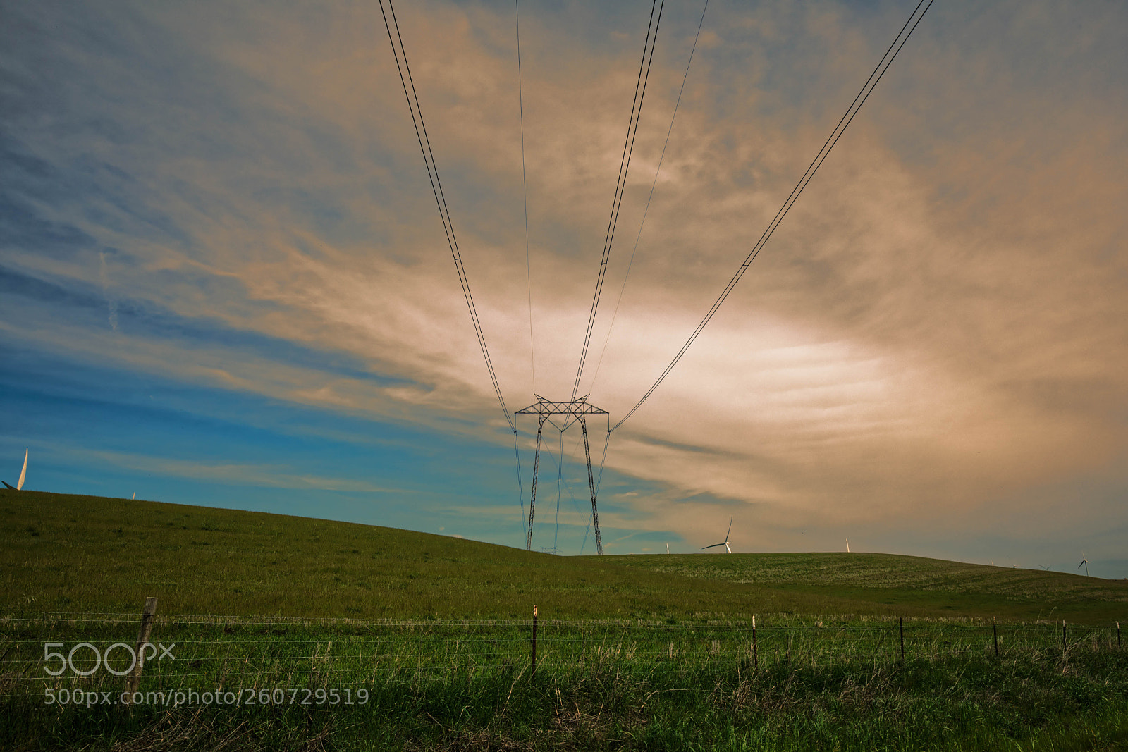 Canon EOS 5D Mark IV sample photo. Untitled 146 photography