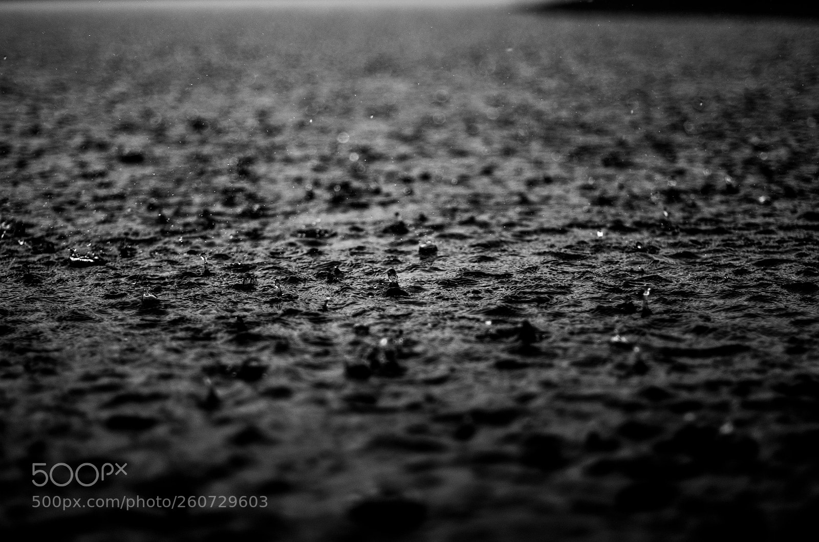 Nikon D7000 sample photo. Little drops photography