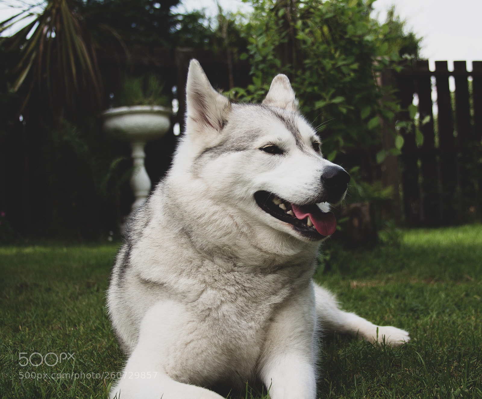Canon EOS 700D (EOS Rebel T5i / EOS Kiss X7i) sample photo. Mya photography