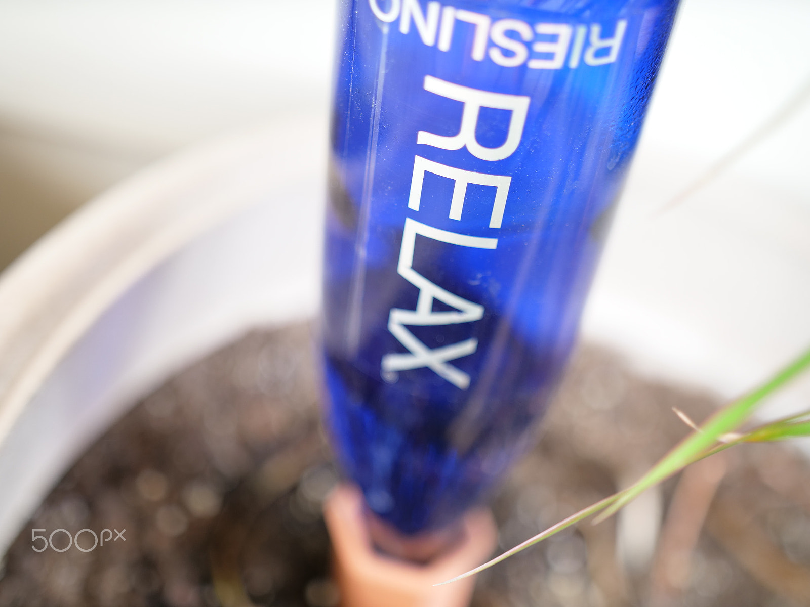 Panasonic Lumix DC-GH5 sample photo. Blue watering photography