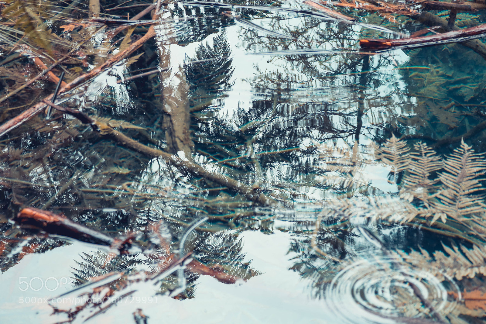 Canon EOS 750D (EOS Rebel T6i / EOS Kiss X8i) sample photo. Reflections photography