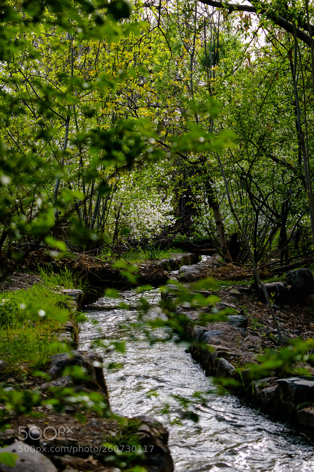Nikon D3300 sample photo. Nice waterway behind the photography